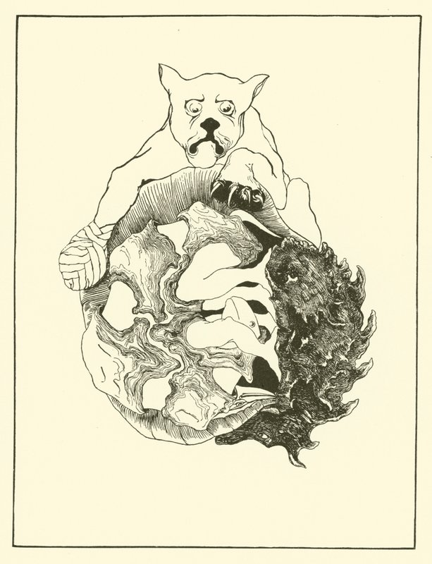 美洲虎、刺猬、乌龟和犰狳堆在一起的全部故事（雕刻） 作者 约瑟夫·拉迪亚德（后）吉卜林