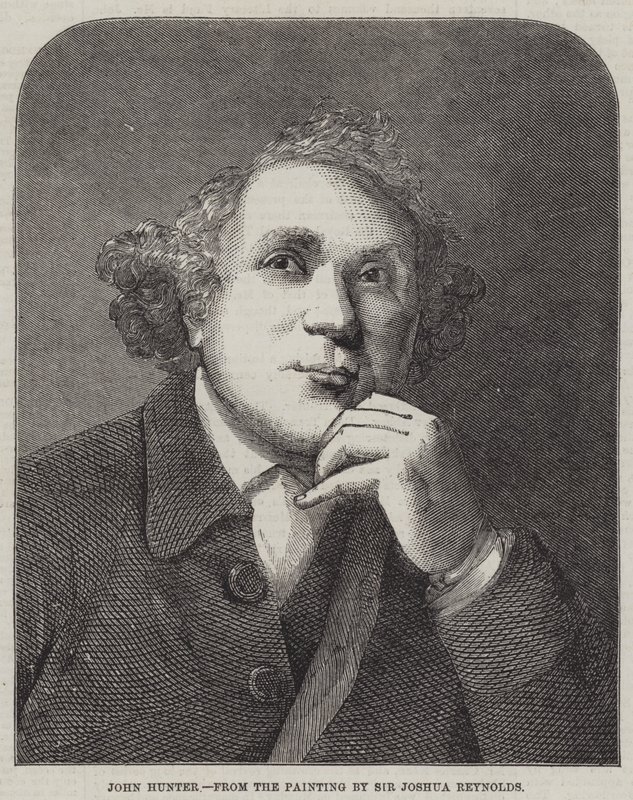 约翰亨特 作者 约书亚·雷诺兹（Joshua Reynolds）