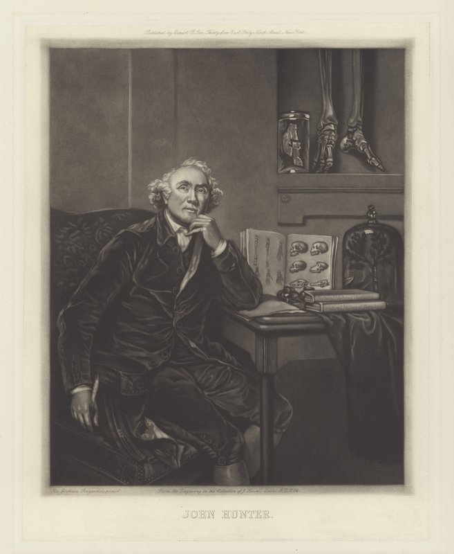 John Hunter，苏格兰外科医生 作者 约书亚·雷诺兹（Joshua Reynolds）
