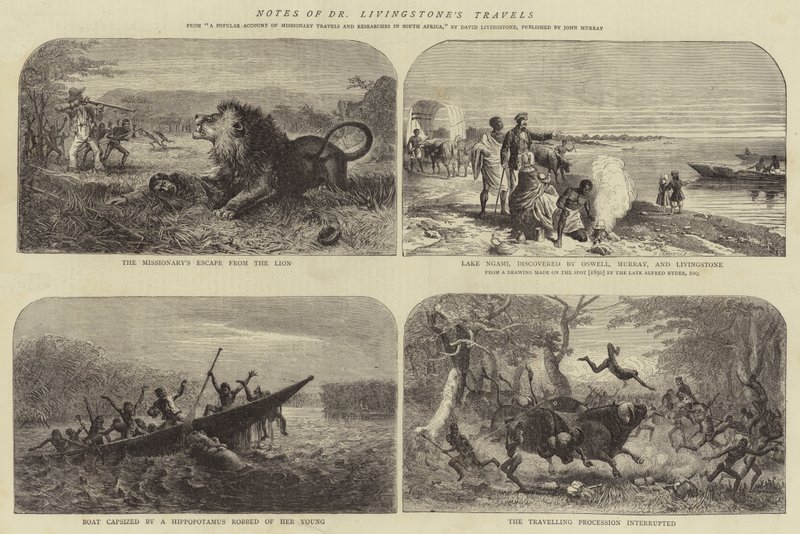 利文斯通博士的旅行记录 作者 乔西亚·伍德·怀珀（Josiah Wood Whymper）