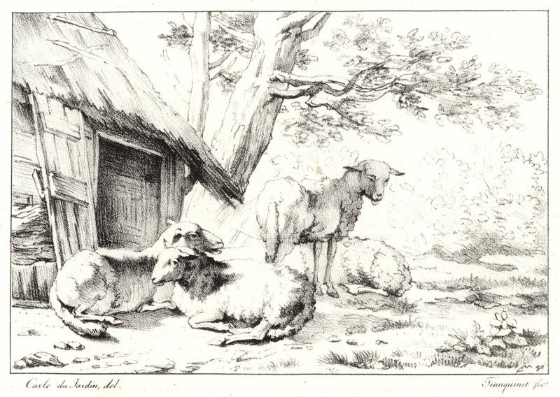 羊 作者 卡雷尔·杜哈丁（Karel Dujardin）