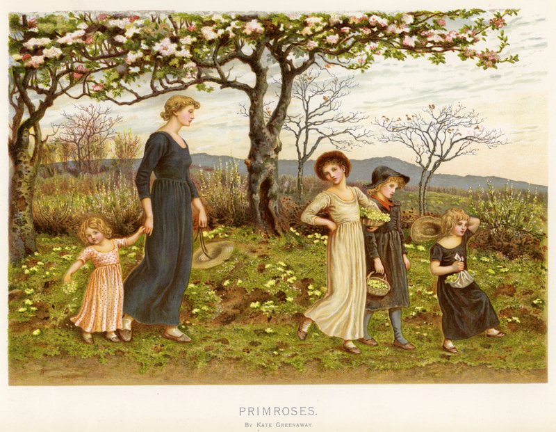 报春花（chromolitho） 作者 凯特·格林威（Kate Greenaway）