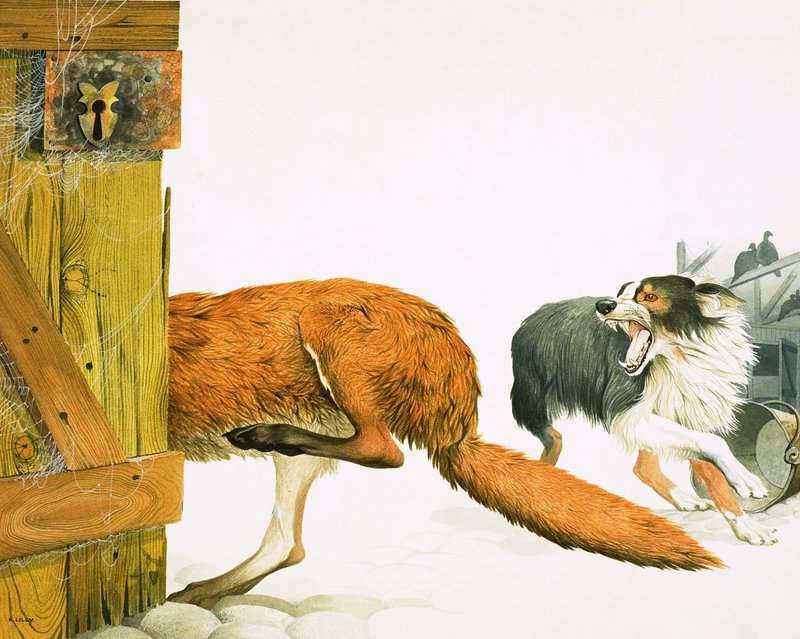 一只牧羊犬赶走了一只狐狸 作者 肯尼思·莉莉