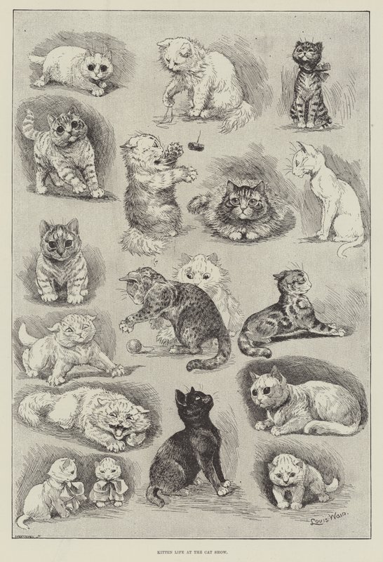 小猫生活在猫展 作者 路易·韦恩