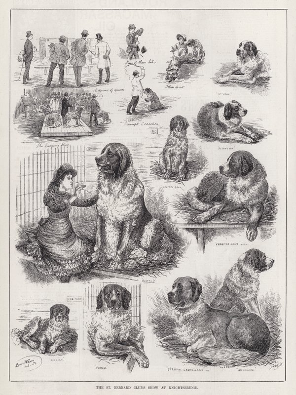 The St Bernard Club