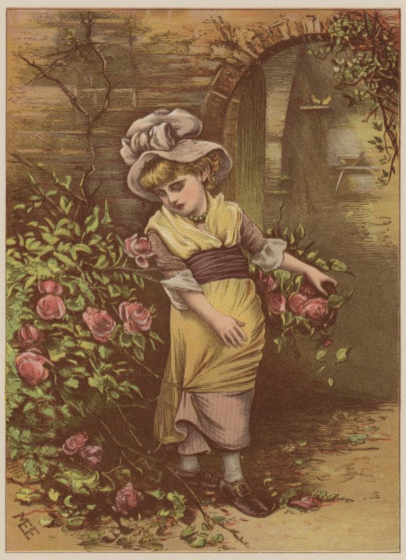 女孩采摘玫瑰（chromolitho） 作者 玛丽·艾伦·爱德华兹