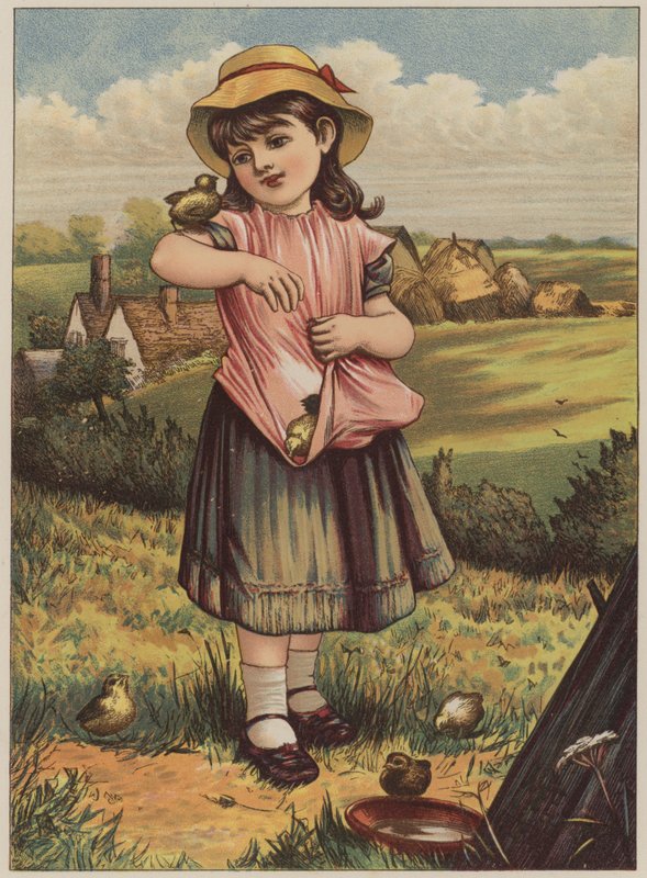 小鸡（chromolitho）的女孩 作者 玛丽·艾伦·爱德华兹