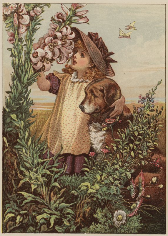 狗嗅到鲜花（chromolitho）的女孩 作者 玛丽·艾伦·爱德华兹