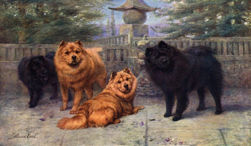 Scaramanga夫人拥有四只Champing Chow-Chows 作者 莫德伯爵
