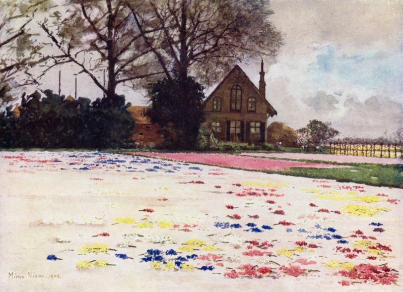 Hyacinths scattered on the Sand (colour litho) 作者 咪玛·尼克松（Mima Nixon）