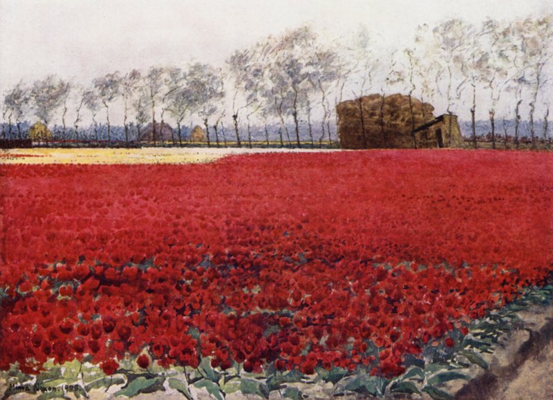 "Whose leaves with their crimson glow Hide the heart that lies burning and black below" (colour litho) 作者 咪玛·尼克松（Mima Nixon）