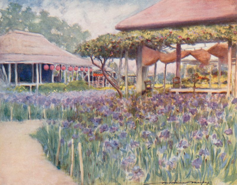 鸢尾花园 作者 Mortimer Ludington Menpes