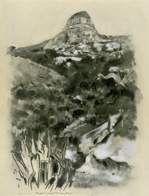 布隆方丹 作者 Mortimer Ludington Menpes