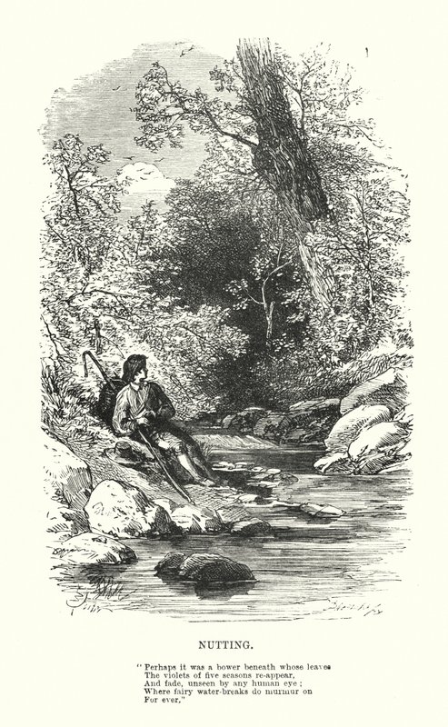 William Wordsworth: Nutting (engraving) 作者 迈尔斯·比克（Myles Birket）（之后）福斯特（Foster）