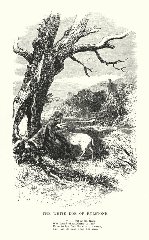 威廉-华兹华斯里尔斯通的白母鹿》（雕刻）。 作者 迈尔斯·比克（Myles Birket）（之后）福斯特（Foster）