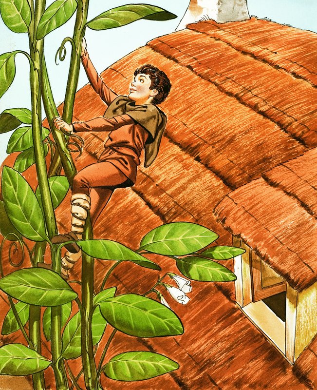 杰克与豆茎 作者 纳迪尔·昆托