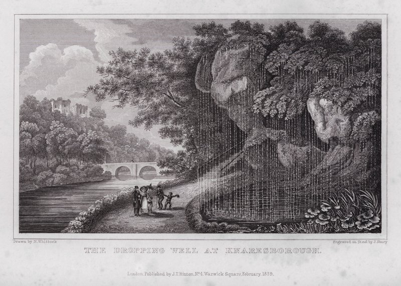 The Dropping Well at Knaresborough (engraving) 作者 纳撒尼尔（后）惠托克