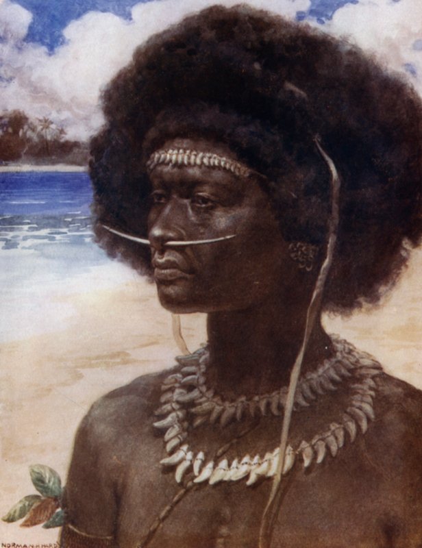 A New Guinea Dandy (colour litho) 作者 诺曼·哈迪