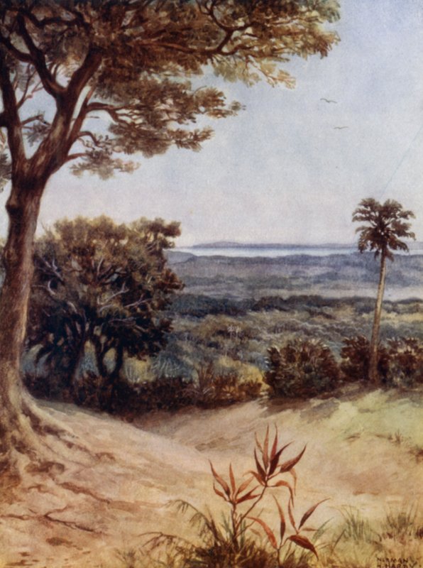 Havannah Harbour、Rathmoy、新赫布里底群岛（彩色石版画） 作者 诺曼·哈迪