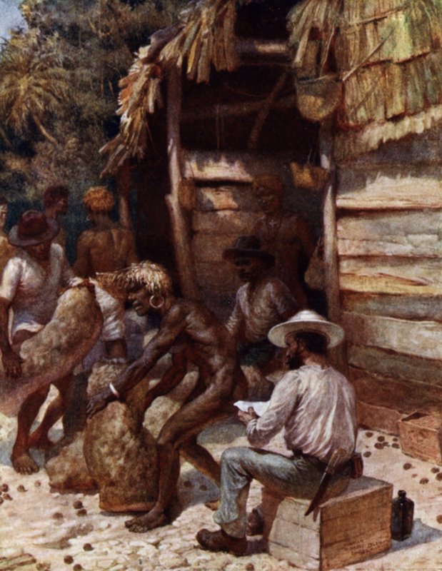 Johnnie Pratt with his Ivory Nuts at Simbo, Solomon Islands (colour litho) 作者 诺曼·哈迪