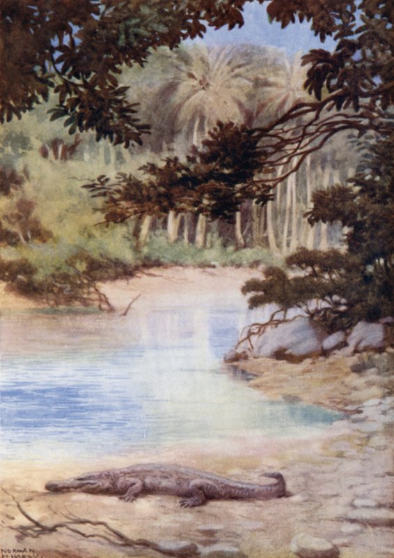 The Home of the Crocodile, British Solomon Islands (colour litho) 作者 诺曼·哈迪