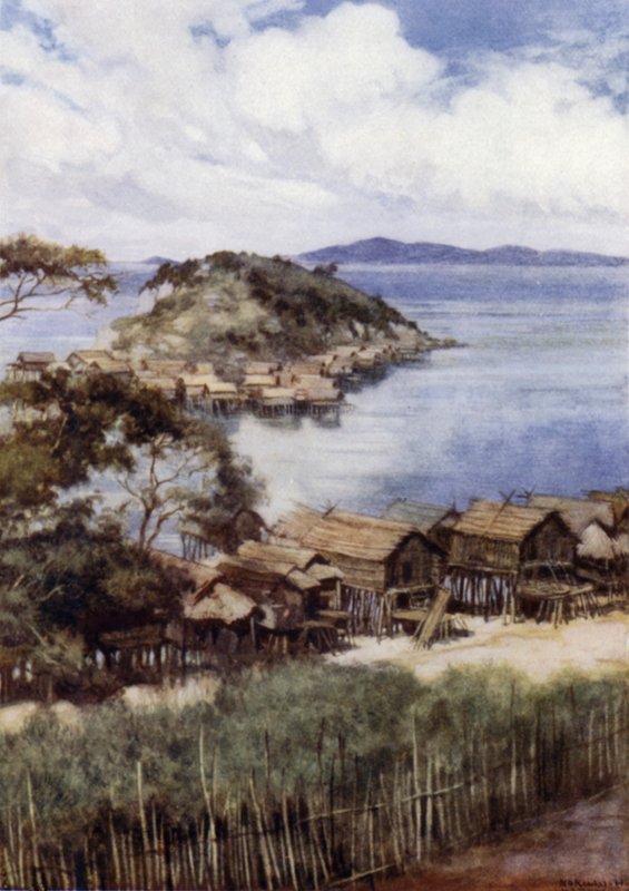 The Island of Elevera from the Mission Station, Port Moresby, British New Guinea (colour litho) 作者 诺曼·哈迪
