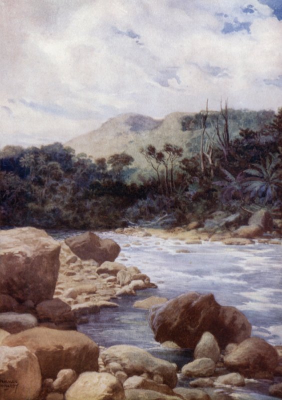 急流、威廉斯河、埃罗曼加岛、新赫布里底群岛（彩色石版画） 作者 诺曼·哈迪