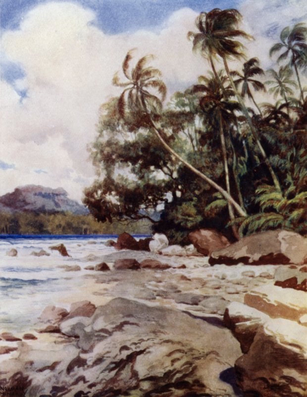 The Reef near Simbo, Solomon Islands (colour litho) 作者 诺曼·哈迪