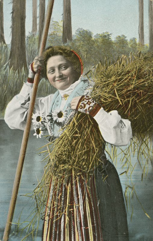 Norwegian girl during harvest (colour photo) 作者 挪威摄影师