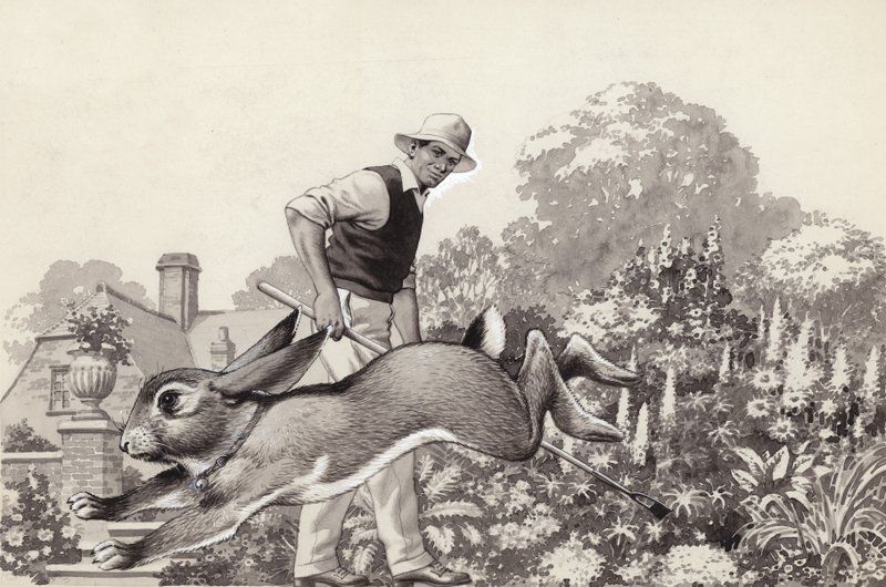 一只兔子戴着猫项圈在花园里跑来跑去（水粉画，纸本） 作者 帕特 (1907-95) 妮可