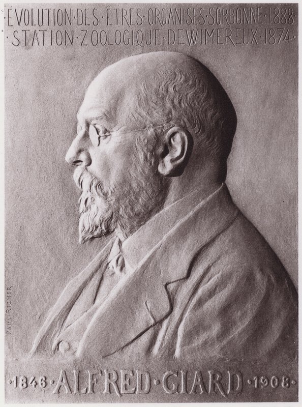 Alfred Giard (1846-1908), zoologist, portrait (litho) 作者 保罗·玛丽·路易斯·皮埃尔·里希