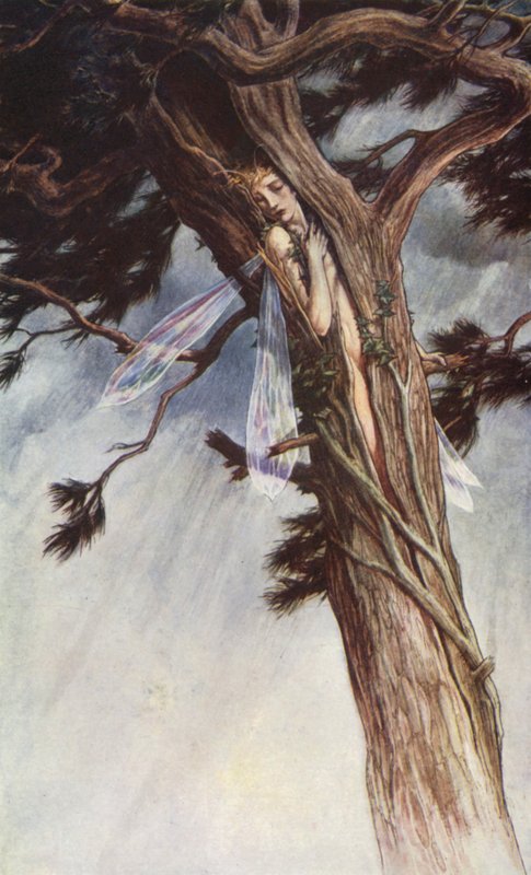 威廉-莎士比亚的《暴风雨》，第一幕，第二场（彩色石版画） 作者 保罗·文森特·伍德罗夫