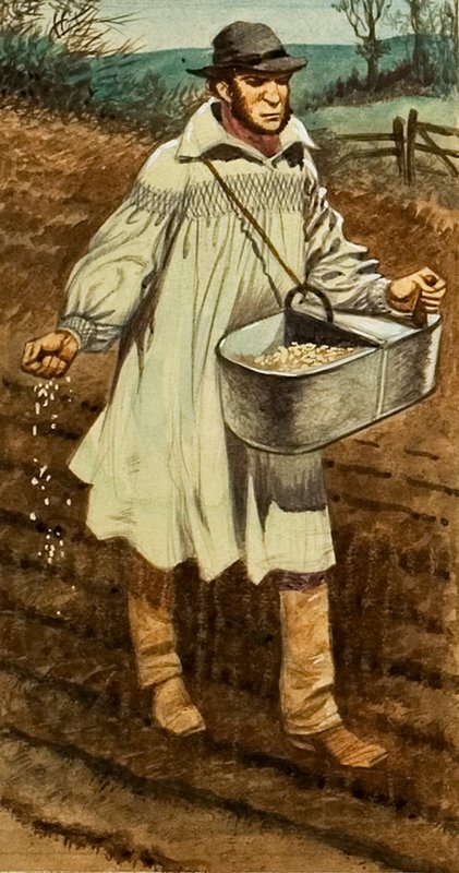 播种 作者 彼得·杰克逊