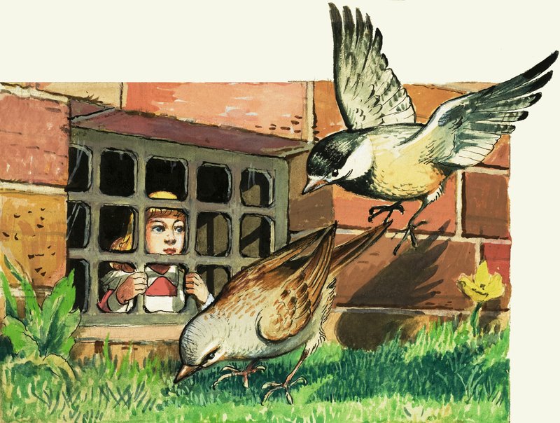 借款人 作者 菲利普·门多萨