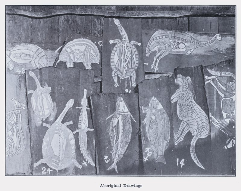 Aboriginal Drawings (b/w photo) 作者 澳大利亚摄影师