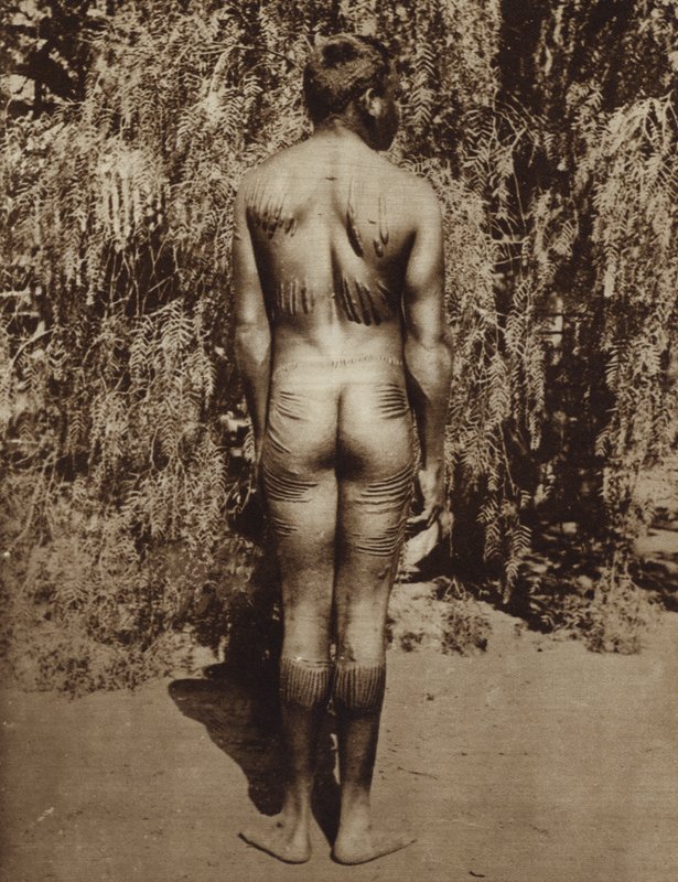Indigenous Australian body decoration (b/w photo) 作者 澳大利亚摄影师