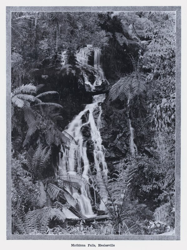 Mathinna Falls, Healesville (b/w photo) 作者 澳大利亚摄影师