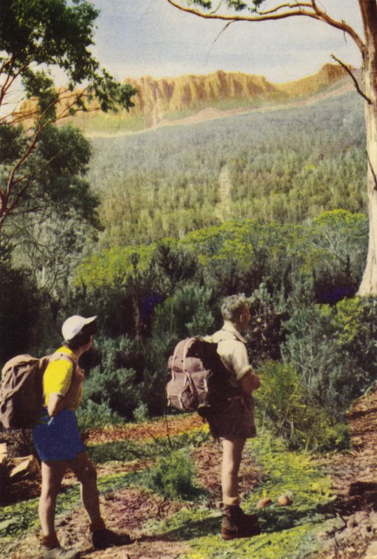 塔斯马尼亚：奥林匹斯山附近的徒步旅行者（彩色照片） 作者 澳大利亚摄影师