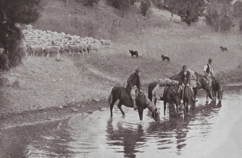 The Rest, Typical Australian Stockmen (b/w photo) 作者 澳大利亚摄影师