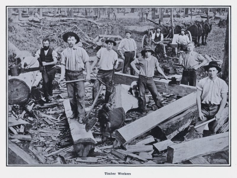 Timber Workers (b/w photo) 作者 澳大利亚摄影师