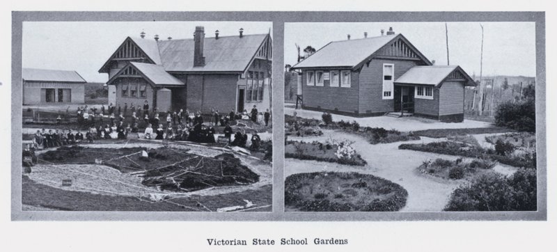 Victorian State School Gardens (b/w photo) 作者 澳大利亚摄影师