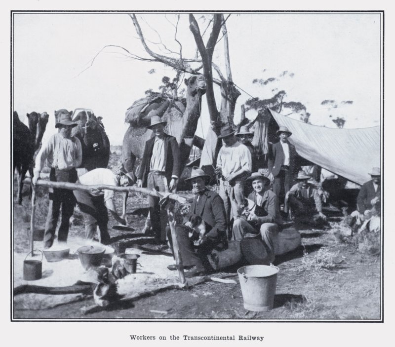 Workers on the Transcontinental Railway (b/w photo) 作者 澳大利亚摄影师
