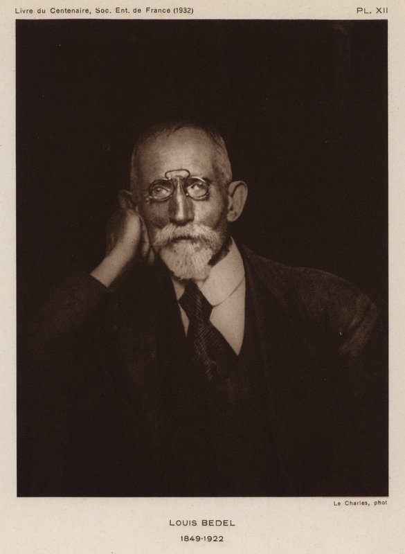 法国昆虫学家Ernest Marie Louis Bedel（黑白照片）。 作者 法国摄影师