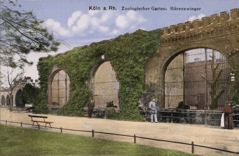 Cologne Zoo, Bears (photo) 作者 德国摄影师