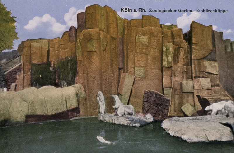 Cologne Zoo, Polar bears (photo) 作者 德国摄影师