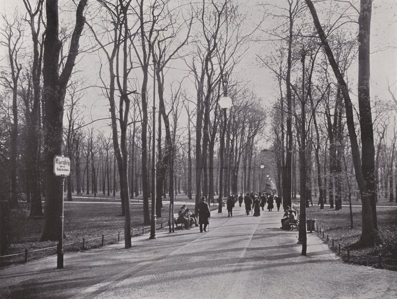 Im Tiergarten, Ahornsteig (b/w photo) 作者 德国摄影师