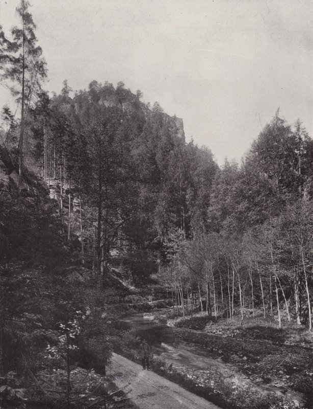 Partie aus dem Polenztal (b/w photo) 作者 德国摄影师