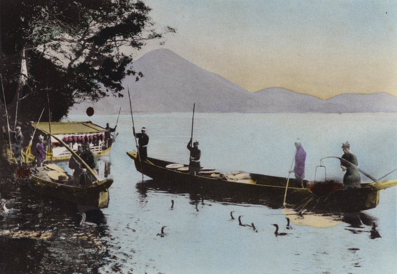 日本，约1912年。与鸬鹚一起捕鱼，长良川（照片）。 作者 摄影师 日本人