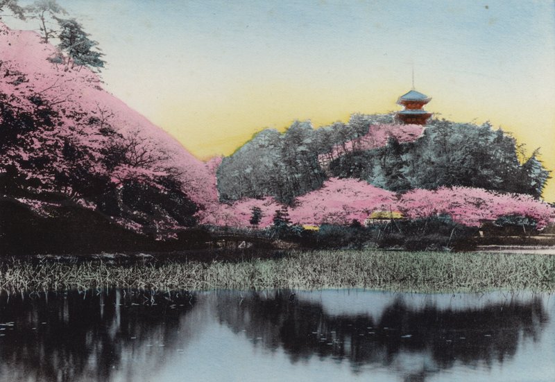 日本，约1912年。横滨市本牧区原先生的私人花园 "三清院"(照片) 作者 摄影师 日本人