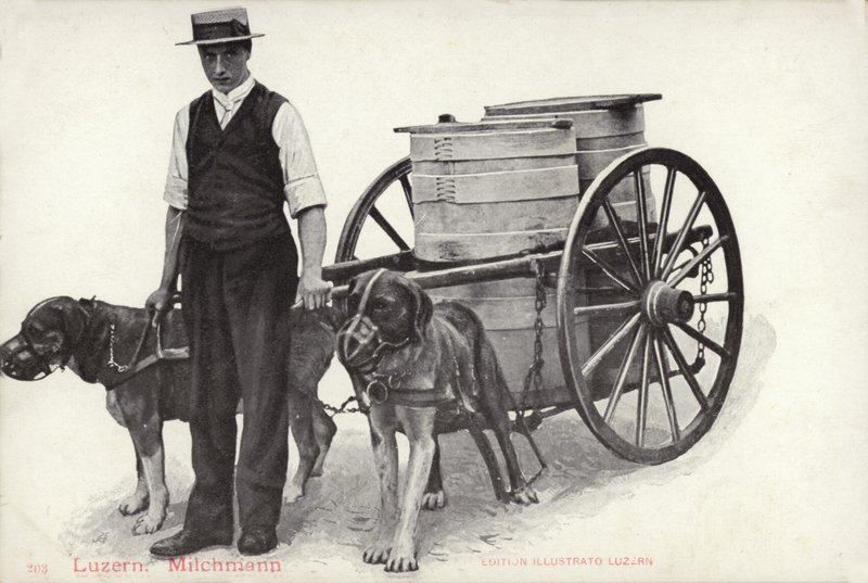 挤奶工，瑞士卢塞恩（黑白照片） 作者 摄影师 瑞士人
